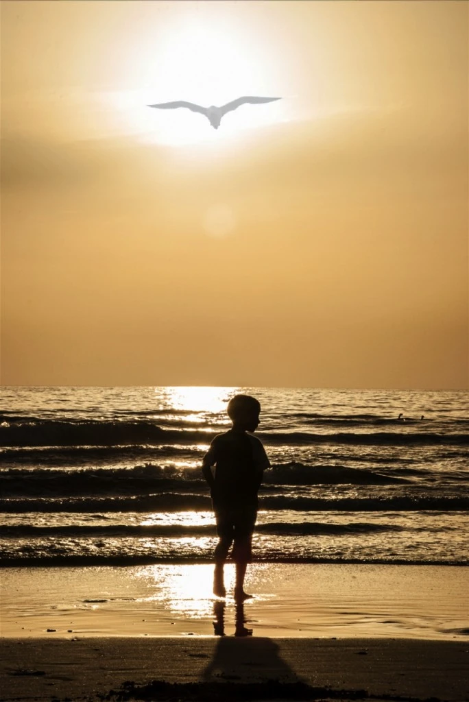 Enfant avec un oiseau sur la plage
